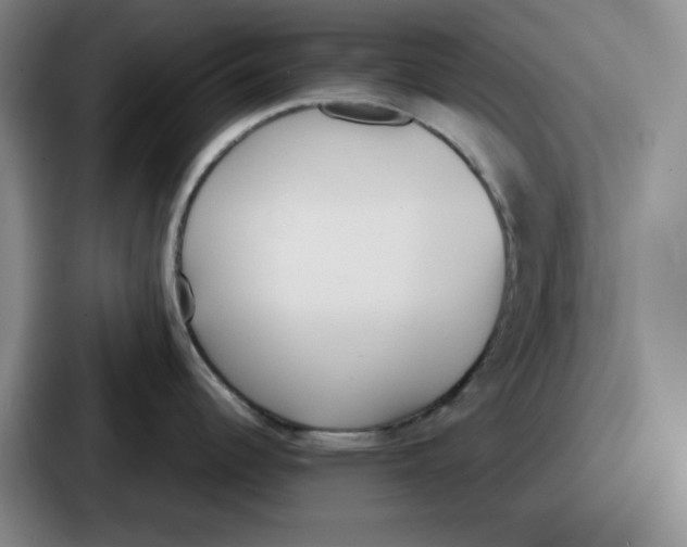 X0000086911344200705141655