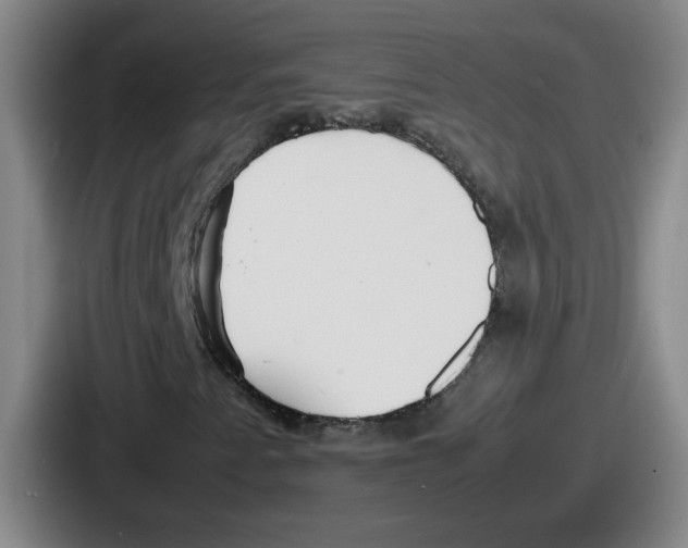 X0000086911345200705141654