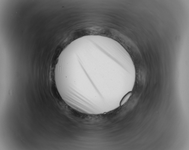 X0000086911346200705141654