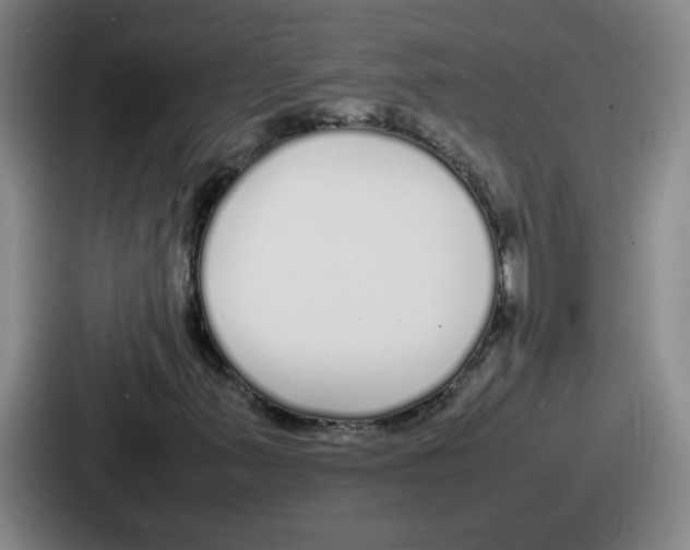 X0000086911347200705141654