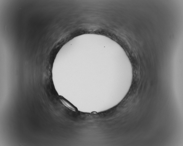 X0000086911349200705141654