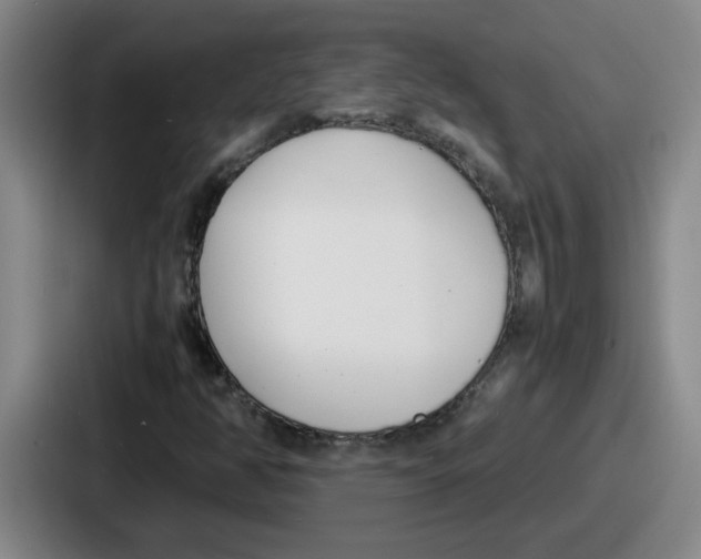 X0000086911350200705141654