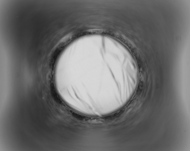 X0000086911351200705141654