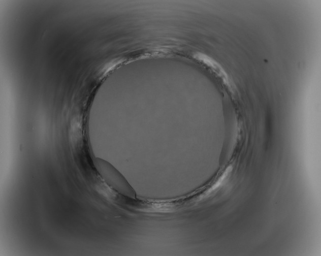 X0000086911353200705141654