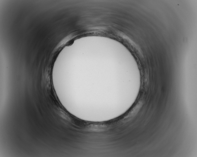 X0000086911354200705141654