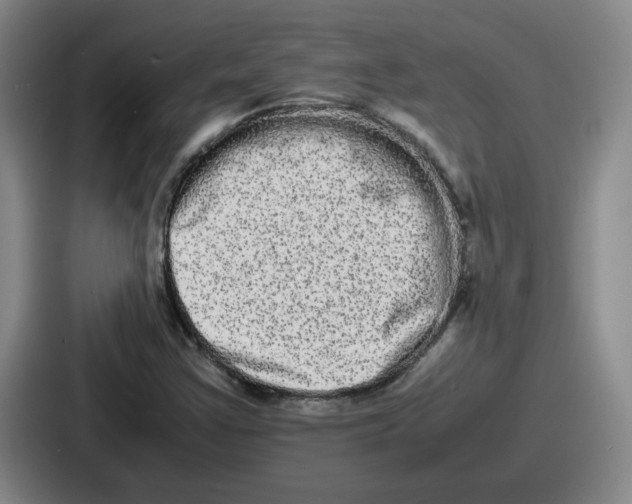 X0000086911355200705141654