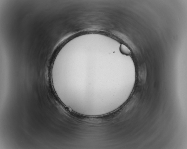 X0000086911356200705141654