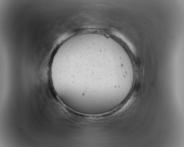 X0000086911357200705141654