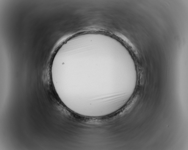 X0000086911358200705141654