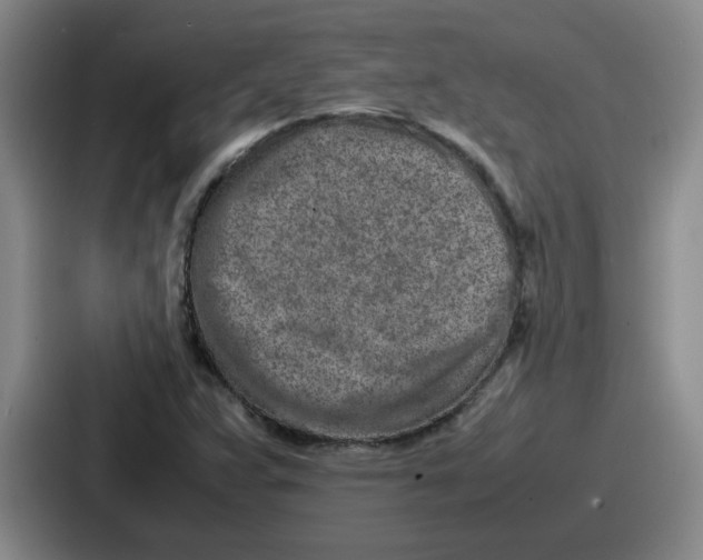 X0000086911359200705141654