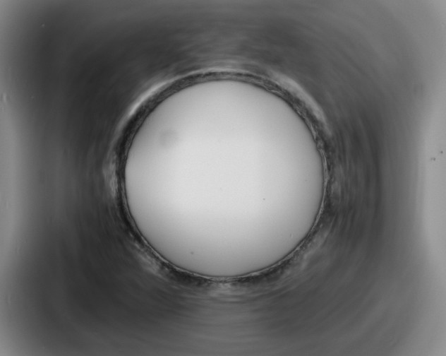 X0000086911360200705141654