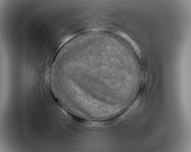 X0000086911361200705141654