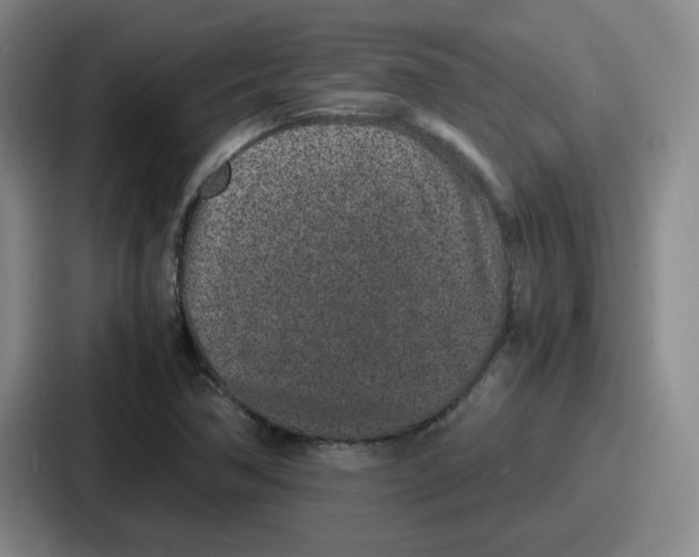 X0000086911362200705141654