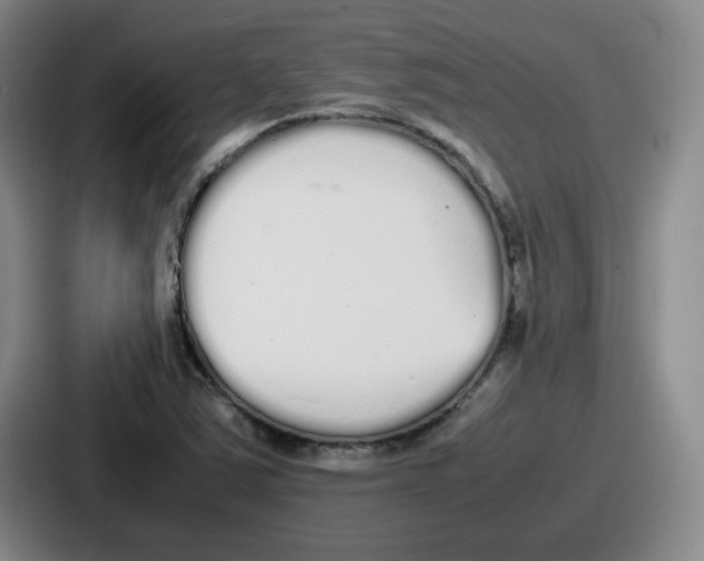 X0000086911363200705141654