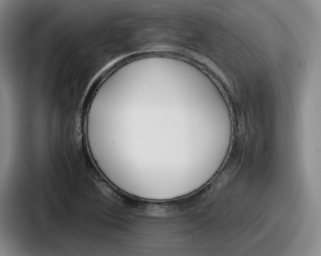 X0000086911364200705141654