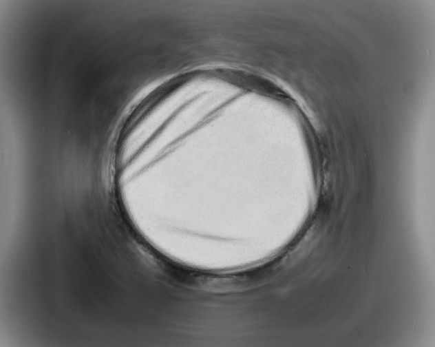 X0000086911367200705141654