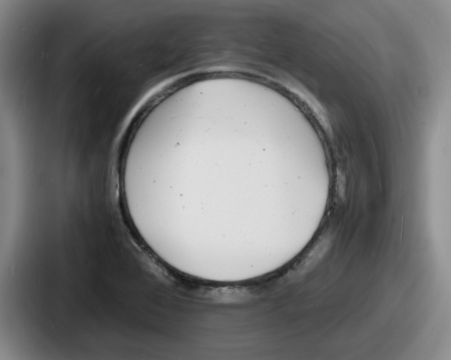 X0000086911368200705141654