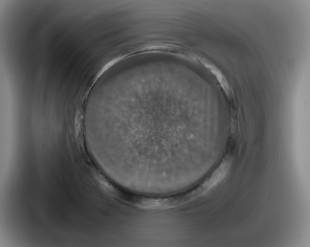 X0000086911369200705141654