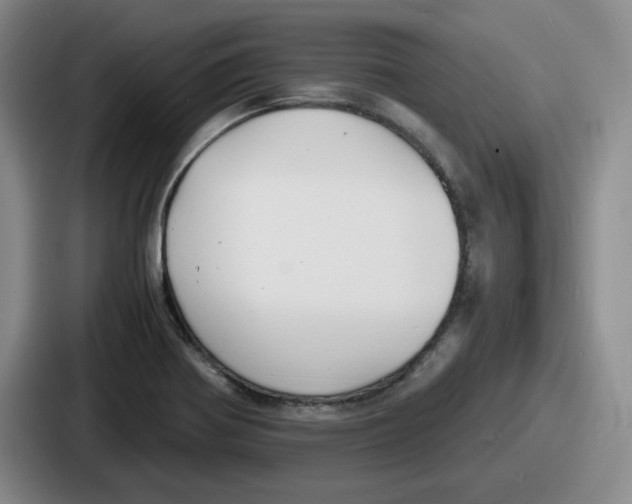 X0000086911370200705141654