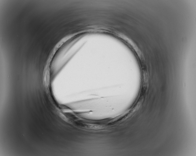 X0000086911371200705141654