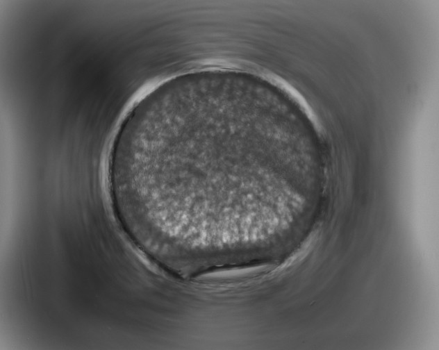 X0000086911373200705141654