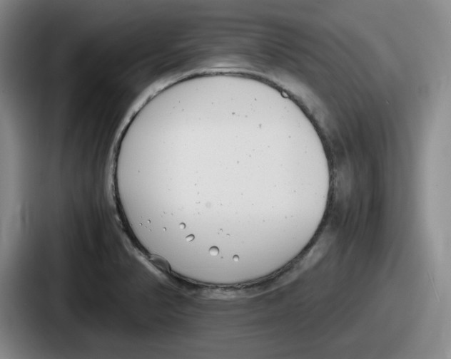 X0000086911374200705141654