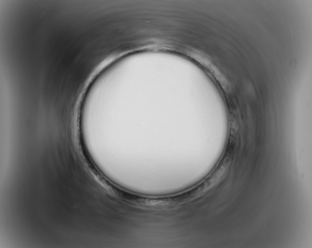 X0000086911375200705141654