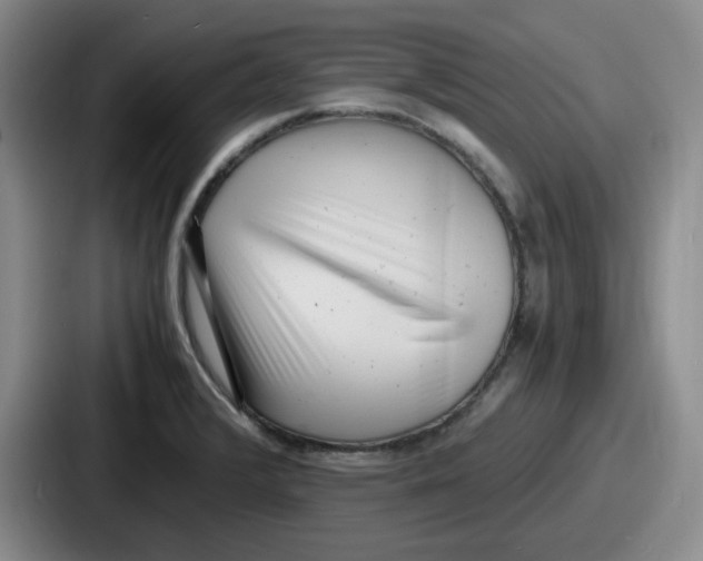 X0000086911376200705141654