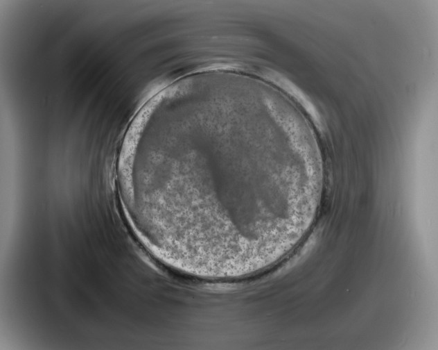 X0000086911377200705141654