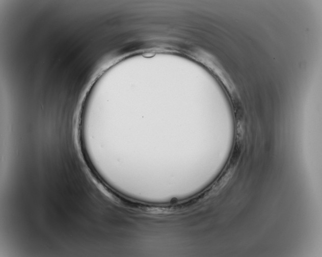 X0000086911379200705141654