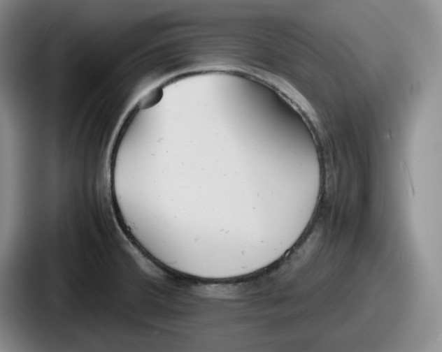 X0000086911380200705141654