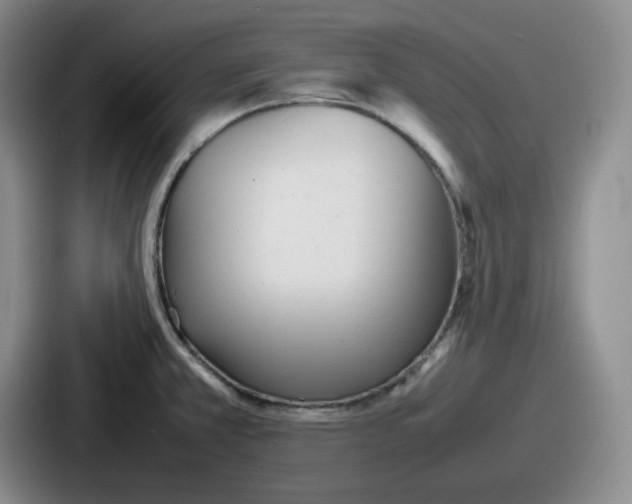 X0000086911381200705141654