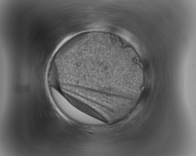 X0000086911383200705141654