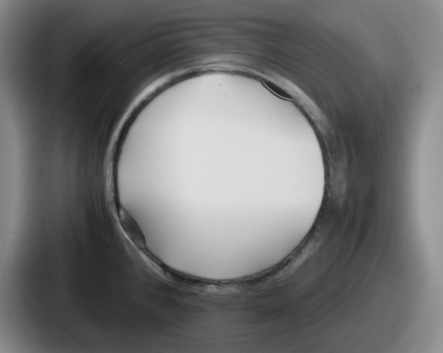 X0000086911384200705141654