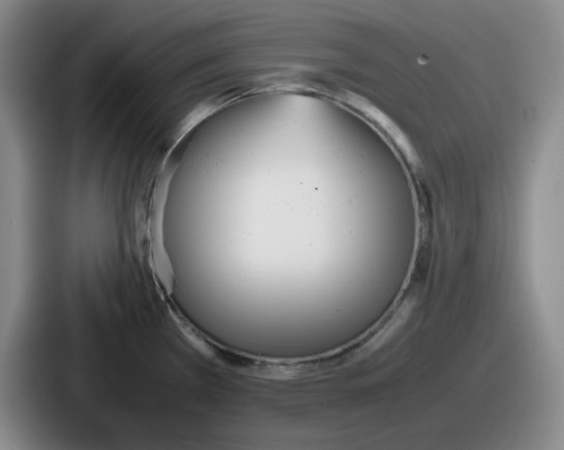 X0000086911385200705141654