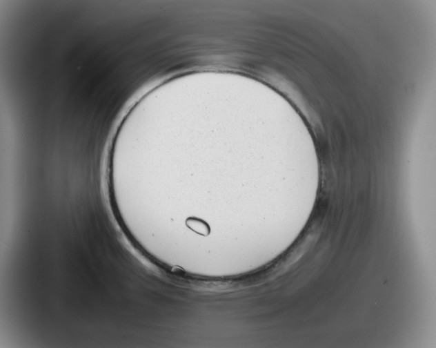 X0000086911387200705141654