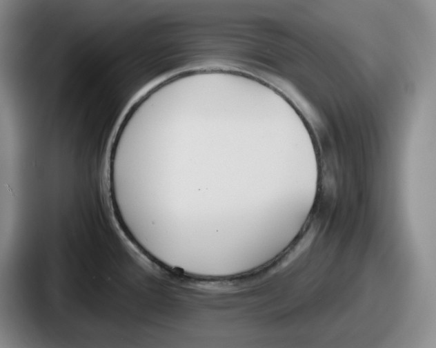 X0000086911388200705141654