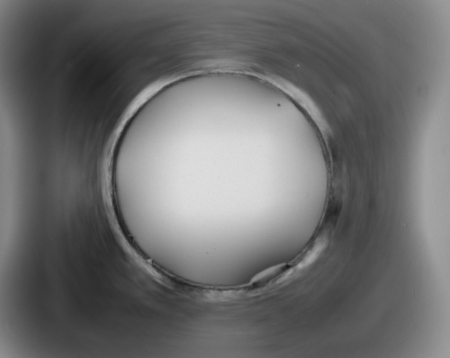 X0000086911389200705141654