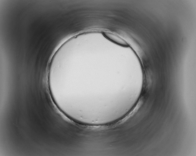 X0000086911390200705141654