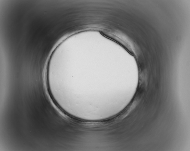 X0000086911391200705141654