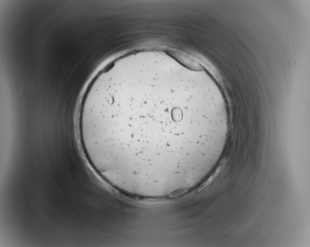 X0000086911392200705141654