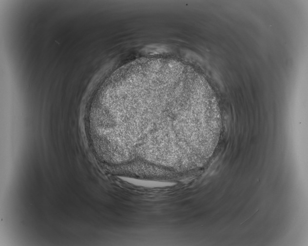 X0000086911393200705141653