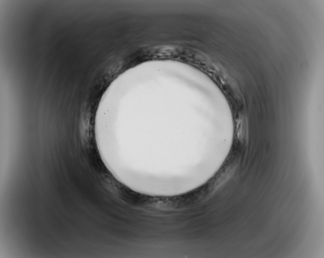 X0000086911395200705141653