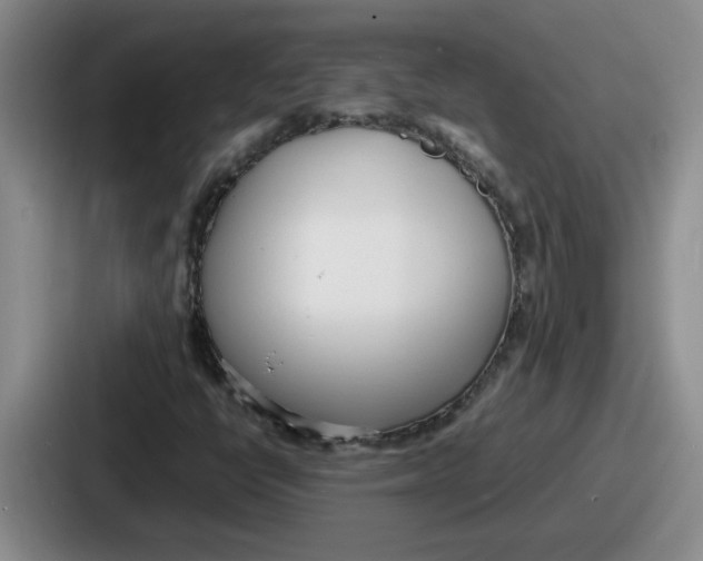 X0000086911398200705141653