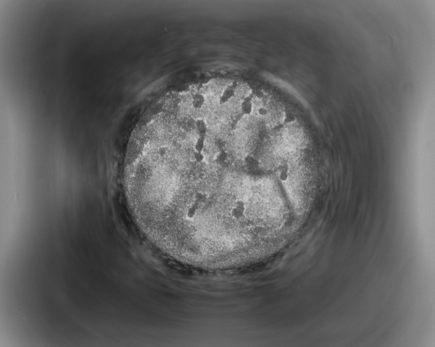 X0000086911399200705141653