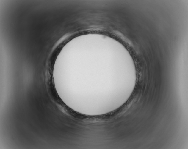 X0000086911400200705141653