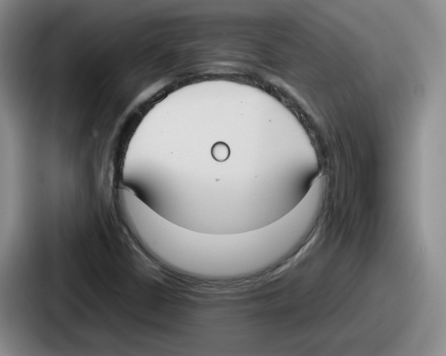 X0000086911402200705141653