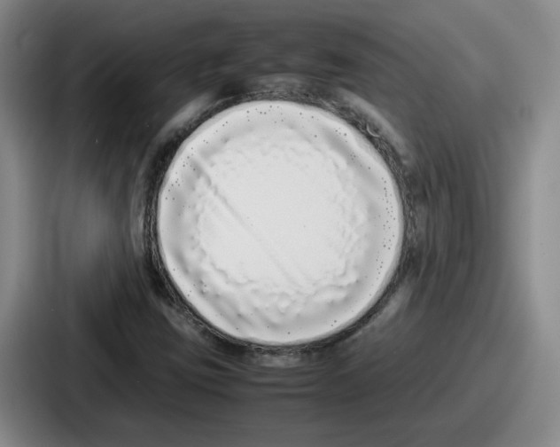 X0000086911403200705141653