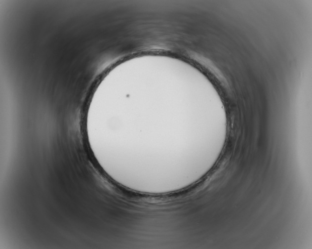 X0000086911404200705141653