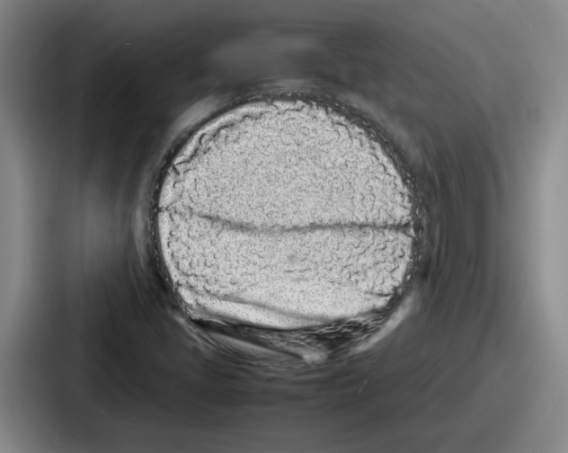 X0000086911405200705141653